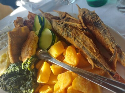 Green visit Podunavlje