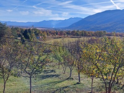 Krečenje voća Krečenje voća