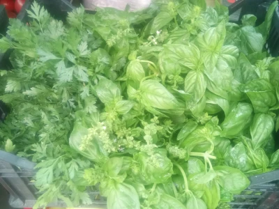 salata