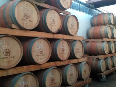 Broćanska žila(vka) kucavica - za smijeh i grijeh