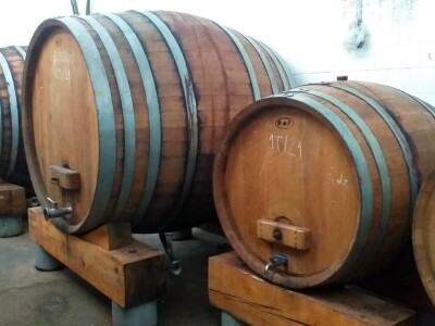 Broćanska žila(vka) kucavica - za smijeh i grijeh