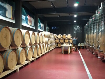 Broćanska žila(vka) kucavica - za smijeh i grijeh