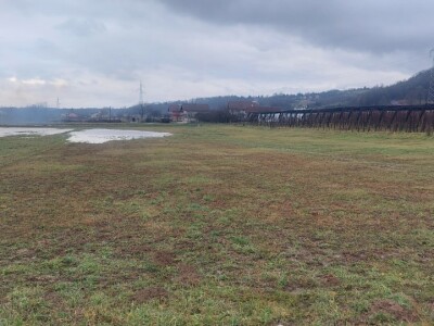 Ranije kretanje vegetacije Ranije kretanje vegetacije