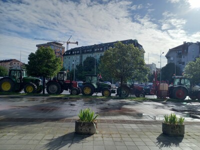 Majski protesti u Novom Sadu