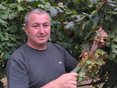 PZ Naš lješnjak pronašla kupca PZ Naš lješnjak pronašla kupca