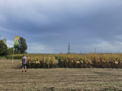 Dan polja BC kukuruza i sorata soje u Rugvici
