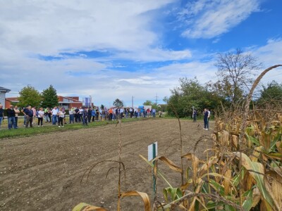 Dan polja BC kukuruza i sorata soje u Rugvici