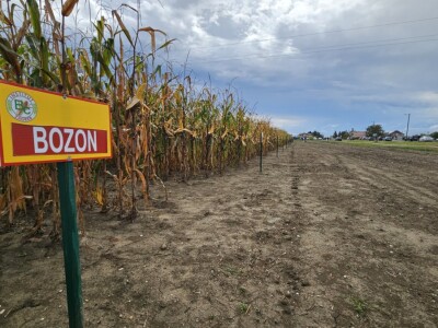 Dan polja BC kukuruza i sorata soje u Rugvici