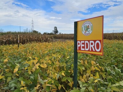 Dan polja BC kukuruza i sorata soje u Rugvici