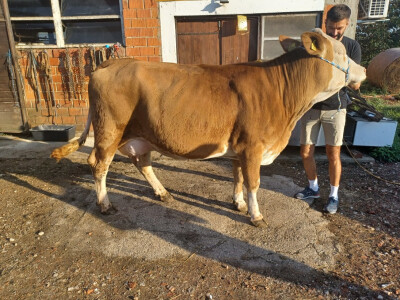OPG Duško Rajaković iz Rovišća OPG Duško Rajaković iz Rovišća