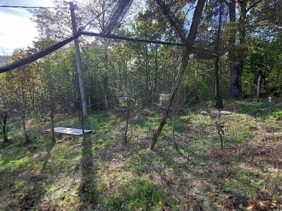 Retrovegetacija voća