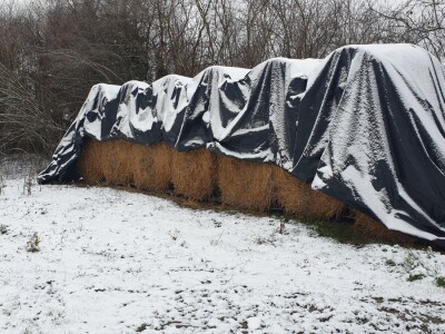 Snijeg 8.1.2024. - čardak, strojevi, polje, voćke, kovaljice...