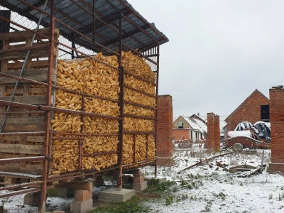 Snijeg 8.1.2024. - čardak, strojevi, polje, voćke, kovaljice...
