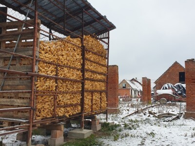 Snijeg 8.1.2024. - čardak, strojevi, polje, voćke, kovaljice...