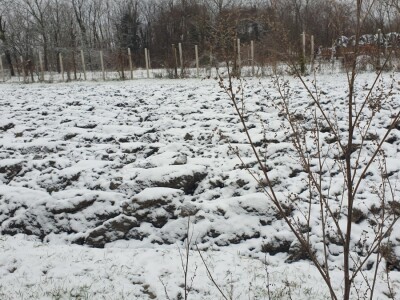 Snijeg 8.1.2024. - čardak, strojevi, polje, voćke, kovaljice...