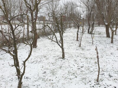 Snijeg 8.1.2024. - čardak, strojevi, polje, voćke, kovaljice...