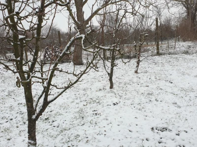Snijeg 8.1.2024. - čardak, strojevi, polje, voćke, kovaljice...