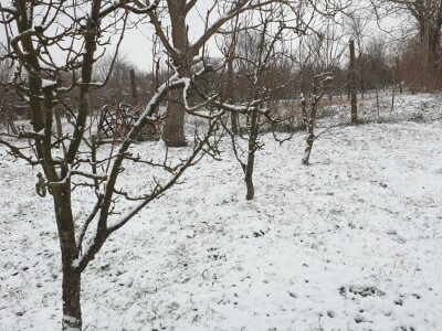 Snijeg 8.1.2024. - čardak, strojevi, polje, voćke, kovaljice...