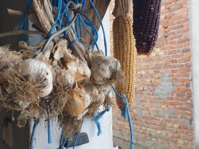 Snijeg 8.1.2024. - čardak, strojevi, polje, voćke, kovaljice...