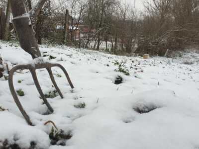 Snijeg 8.1.2024. - čardak, strojevi, polje, voćke, kovaljice...