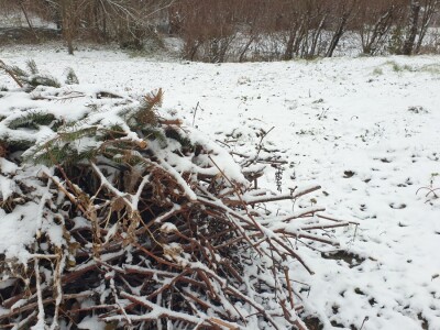 Snijeg 8.1.2024. - čardak, strojevi, polje, voćke, kovaljice...