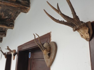 Miroslava Kokorić uredila muzej starina u bakinoj kući - PREBACITI JOŠ