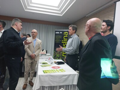 Noćnjak 2024. - sadnja masline