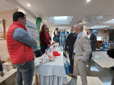 Noćnjak 2024. - sadnja masline