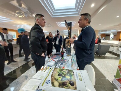 Noćnjak 2024. - sadnja masline