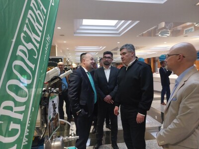 Noćnjak 2024. - sadnja masline