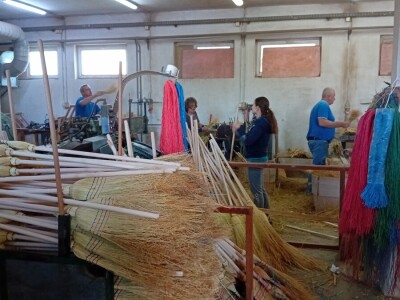 Proizvodnja metle u Bačkom Petrovcu