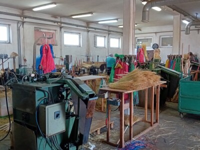 Proizvodnja metle u Bačkom Petrovcu