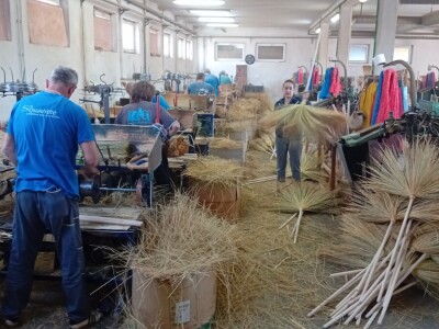 Proizvodnja metle u Bačkom Petrovcu