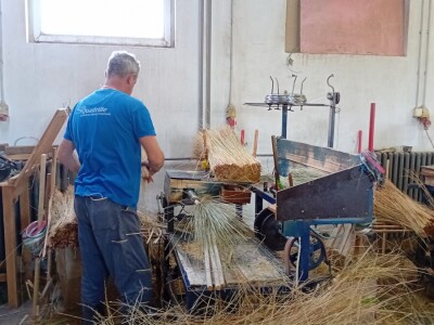 Proizvodnja metle u Bačkom Petrovcu