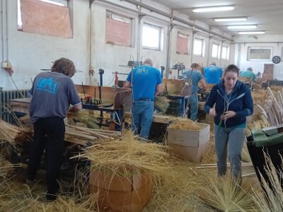 Proizvodnja metle u Bačkom Petrovcu