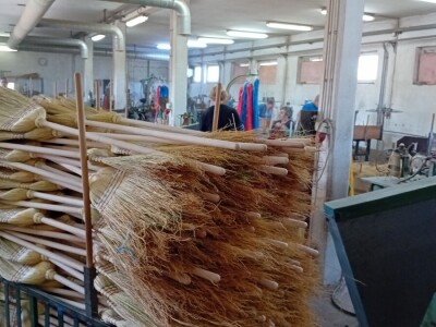 Proizvodnja metle u Bačkom Petrovcu