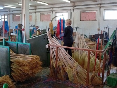 Proizvodnja metle u Bačkom Petrovcu