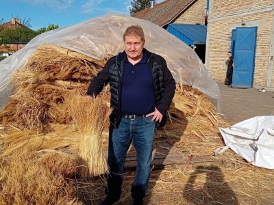 Proizvodnja metle u Bačkom Petrovcu