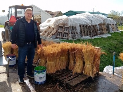 Proizvodnja metle u Bačkom Petrovcu