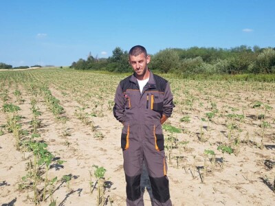 Uništeni usevi od grada u Braničevu