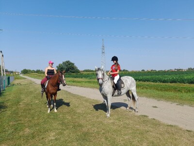 Konjički klub u Ernestinovu