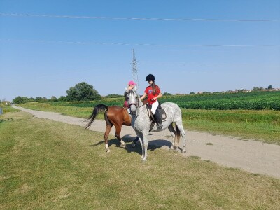 Konjički klub u Ernestinovu