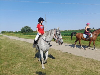 Konjički klub u Ernestinovu