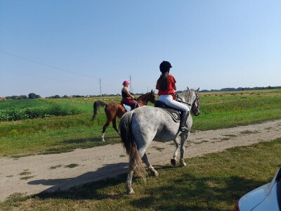Konjički klub u Ernestinovu