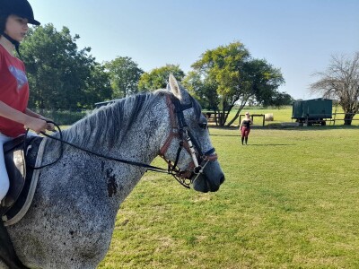 Konjički klub u Ernestinovu