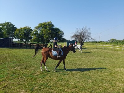 Konjički klub u Ernestinovu