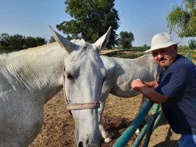 Konjički klub u Ernestinovu