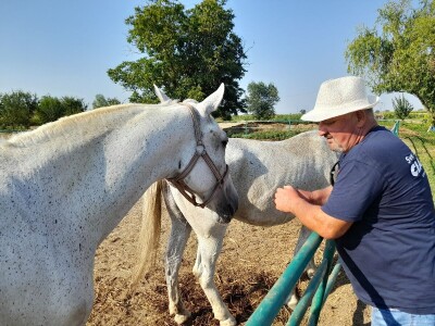 Konjički klub u Ernestinovu