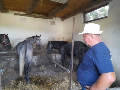 Konjički klub u Ernestinovu