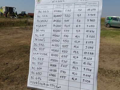 Dani kukuruza Bc Instituta